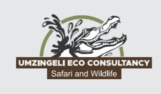 Umzingeli Eco Consultancy logo